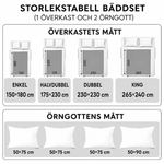 Bild på bildspel